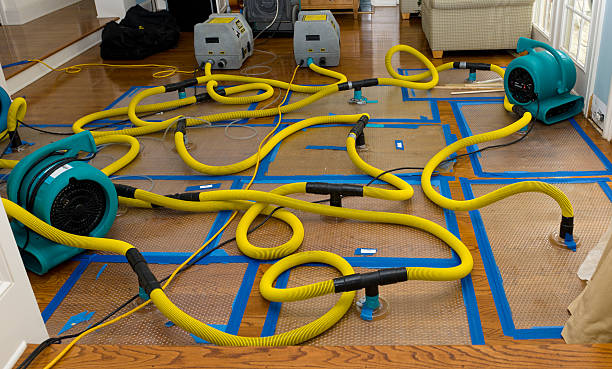 Professional Basement Flood Cleanup technician working in North Georgetown, OH